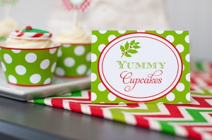 Christmas Wish-ABlissfulNest_046