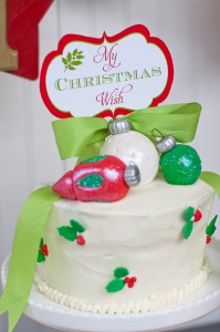 Christmas Wish-ABlissfulNest_048