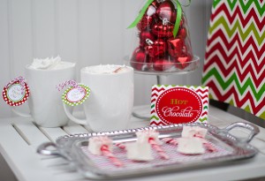 Christmas Wish-ABlissfulNest_071