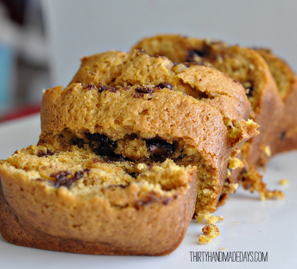 pumpkinbreadchocochips