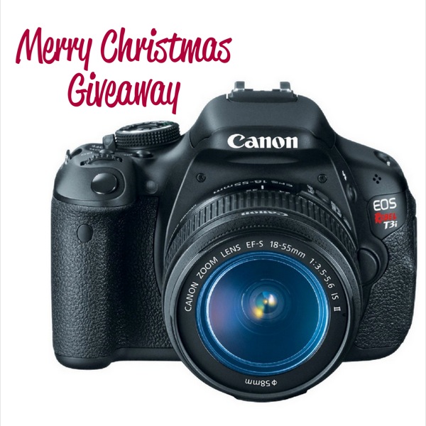 Merry Christmas Giveaway