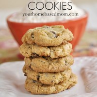 gluten free chocolate chip cookie