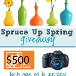 Spring Spruce Up Giveaway with some of my favorite bloggers!