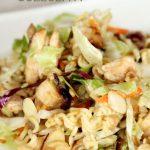 A twist on an old classic- Asian Coleslaw from Lil Luna for Funner in the Summer