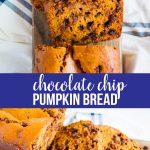 Chocolate Chip Pumpkin Bread- an easy quick bread recipe that is perfectly fall. www.thirtyhandmadedays.com