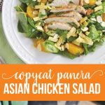 Copycat Panera Asian Chicken Salad- try this one from home and you'll be hooked. via thirtyhandmadedays.com