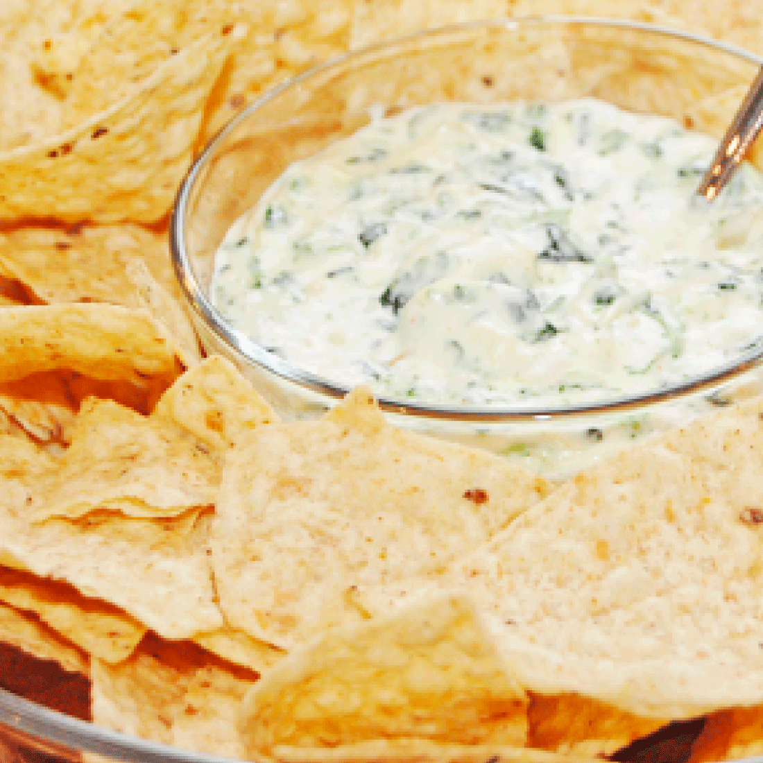 Appetizer Recipes - a round up of the very best.