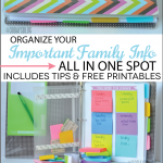 Make a family binder - with printables & tips from www.thirtyhandmadedays.com