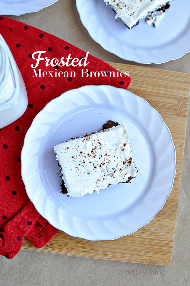 Take your brownies to the next level- delicious and simple Frosted Mexican Brownies recipe www.thirtyhandmadedays.com