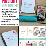 Make your own fabulous mini holiday binder - includes instructions and 14 printables to help you stay organized for the holidays! Amazing- must download! www.thirtyhandmadedays.com