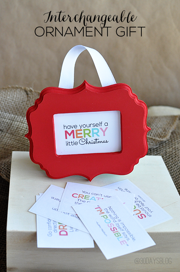 Interchangeable Ornament Gift Idea- printables from www.thirtyhandmadedays.com