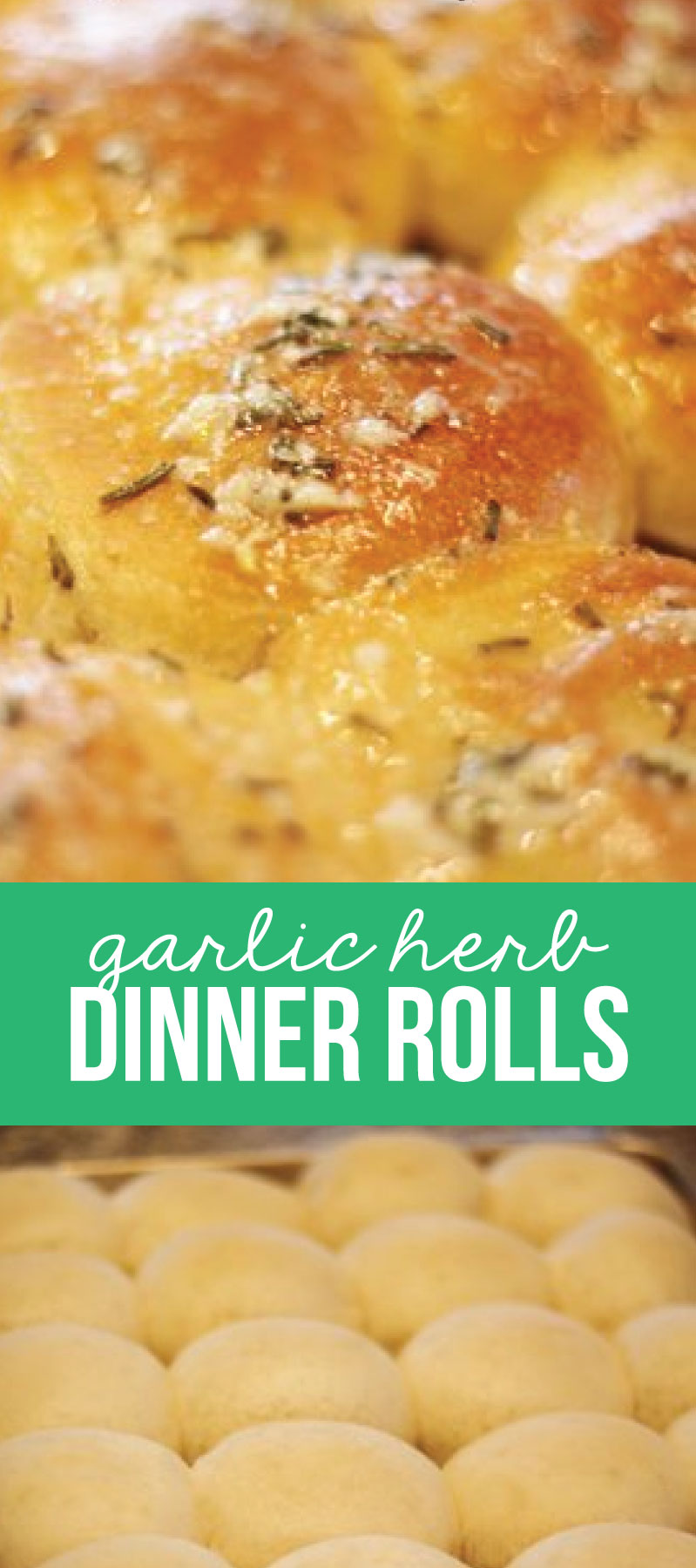 Garlic Herb Dinner Roll Recipe
