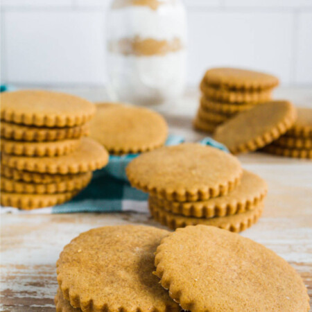 Make Gingerbread Cookies Mix to give to family and friends for the holidays! thirtyhandmadedays.com