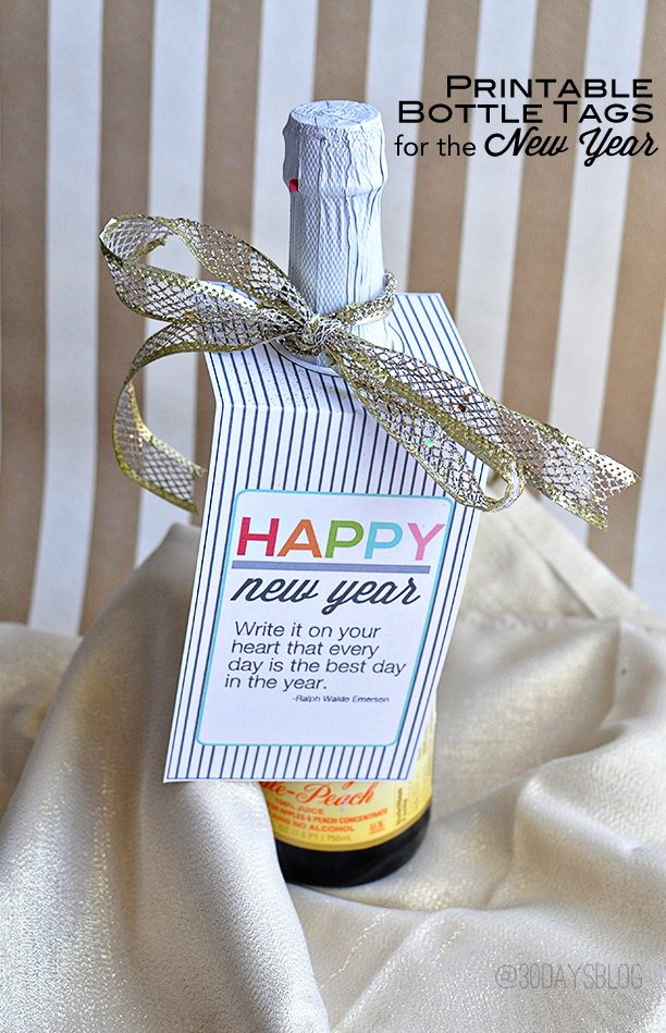 Fun New Year's Eve Printable from www.thirtyhandmadedays.com