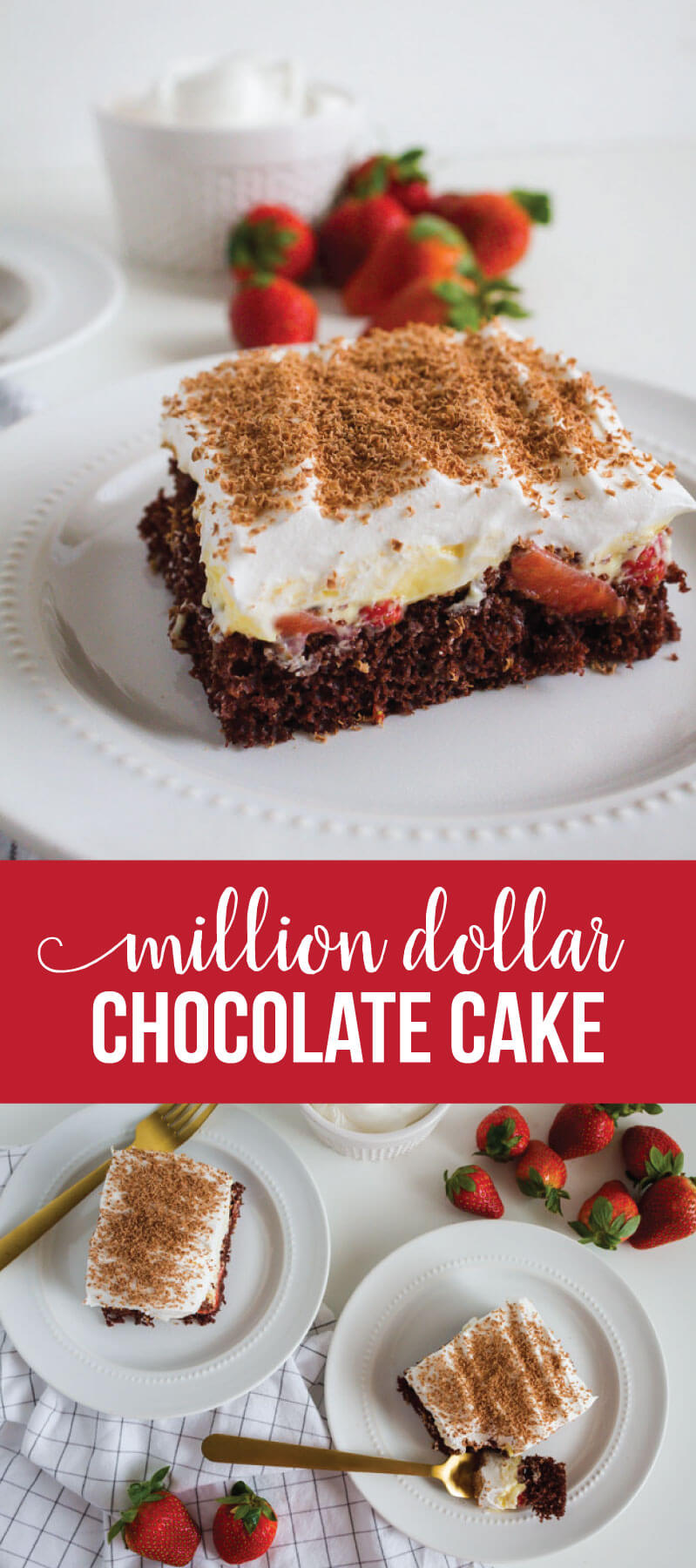 Amazing Chocolate Cake Recipe - Million Dollar Cake - our family favorite. via www.thirtyhandmadedays.com