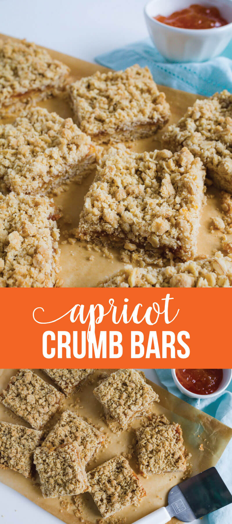 Apricot Crumb Bars apricot-crumb-bars