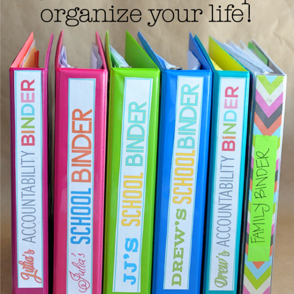 Printable Ultimate Budget Binder- Mini Edition!