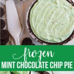 Frozen Mint Chocolate Chip Pie - using only 3 ingredients. It's a family favorite. www.thirtyhandmadedays.com