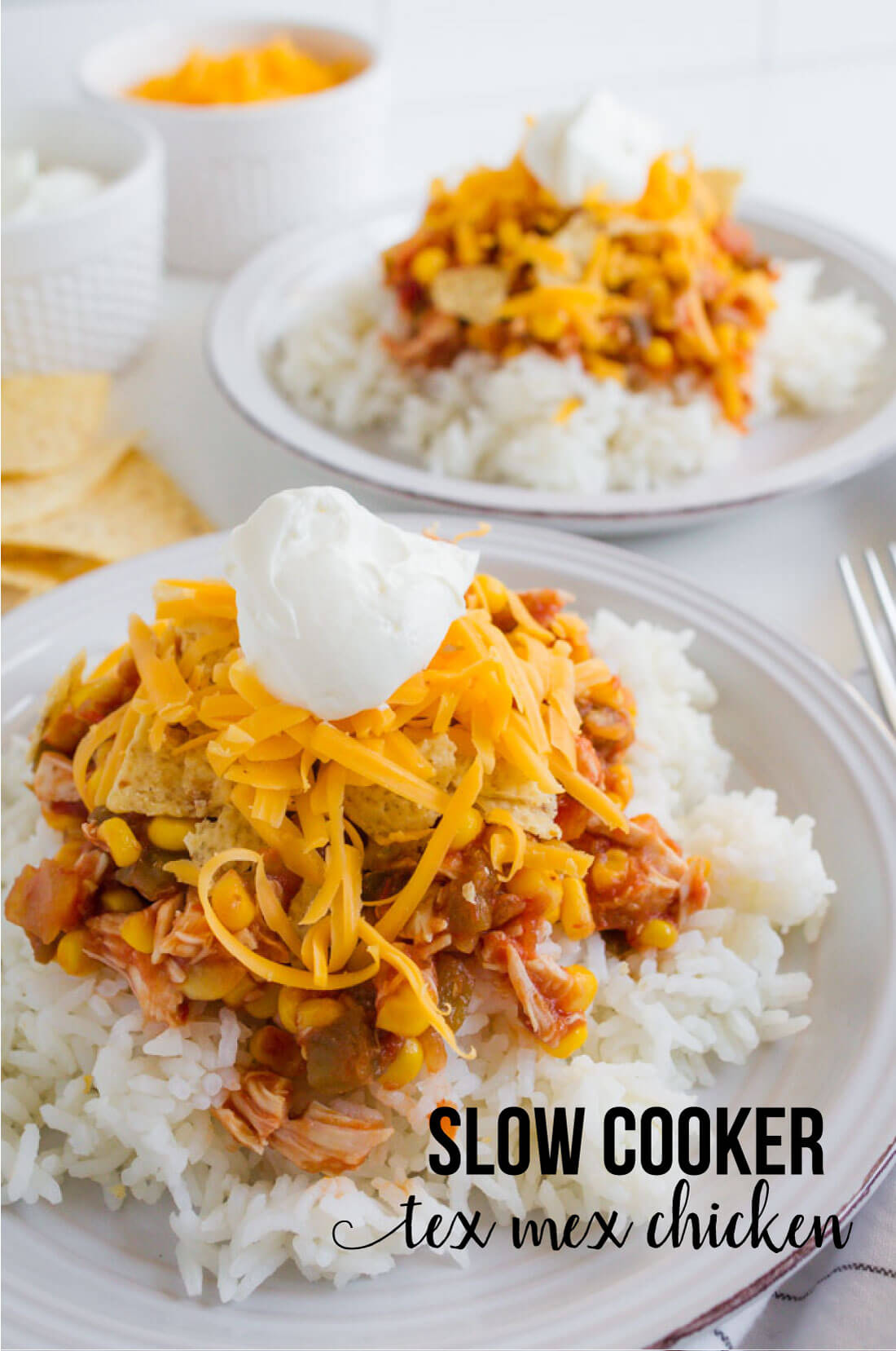 Slow Cooker Chicken Tex Mex - simple crockpot recipe that the whole family will love! www.thirtyhandmadedays.com