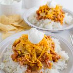 Slow Cooker Chicken Tex Mex - simple crockpot recipe that the whole family will love! thirtyhandmadedays.com