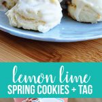 Lime and Lemon Cookies + Printable Tag from www.thirtyhandmadedays.com