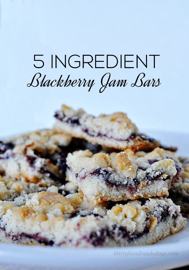 Super delicious and only 5 ingredients- these Blackberry Jam Bars are so simple to make! | Thirty Handmade Days 