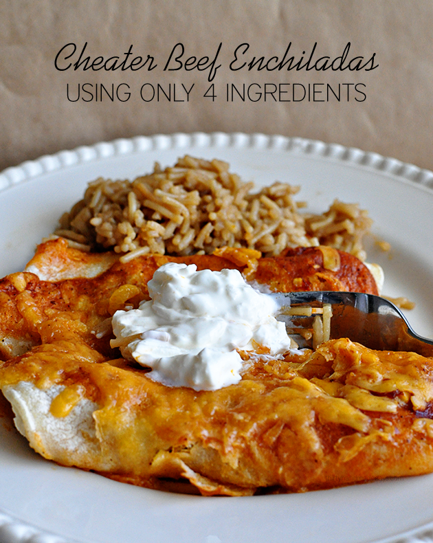 Easiest Cheater Beef Enchiladas - using only 4 ingredients. So easy to make when you are limited on time but taste great!