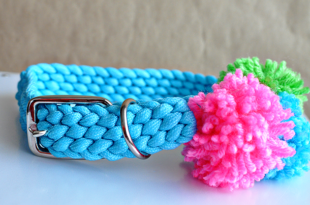 DIY Pom Pom Dog Collar- make your dog feel special. 