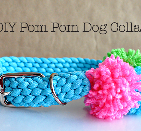 DIY Pom Pom Dog Collar- make your dog feel extra cute with this simple DIY.