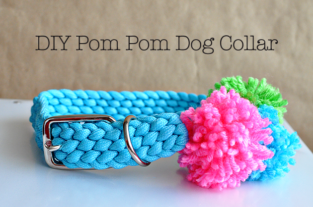 DIY Pom Pom Dog Collar- make your dog feel extra cute with this simple DIY. 