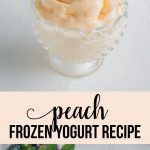 Peach Frozen Yogurt Recipe - whip up this dessert and cool off. www.thirtyhandmadedays.com
