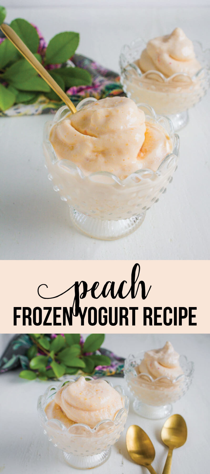 Peach Frozen Yogurt Recipe
