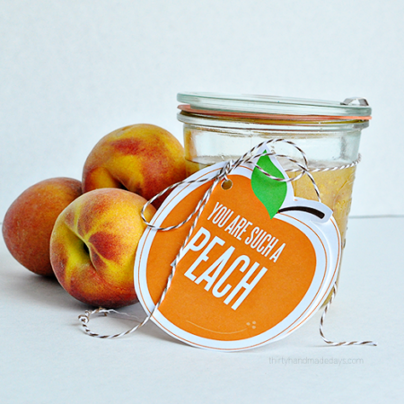 You are such a peach printable gift tags, perfect for body scrub from Thirty Handmade Days