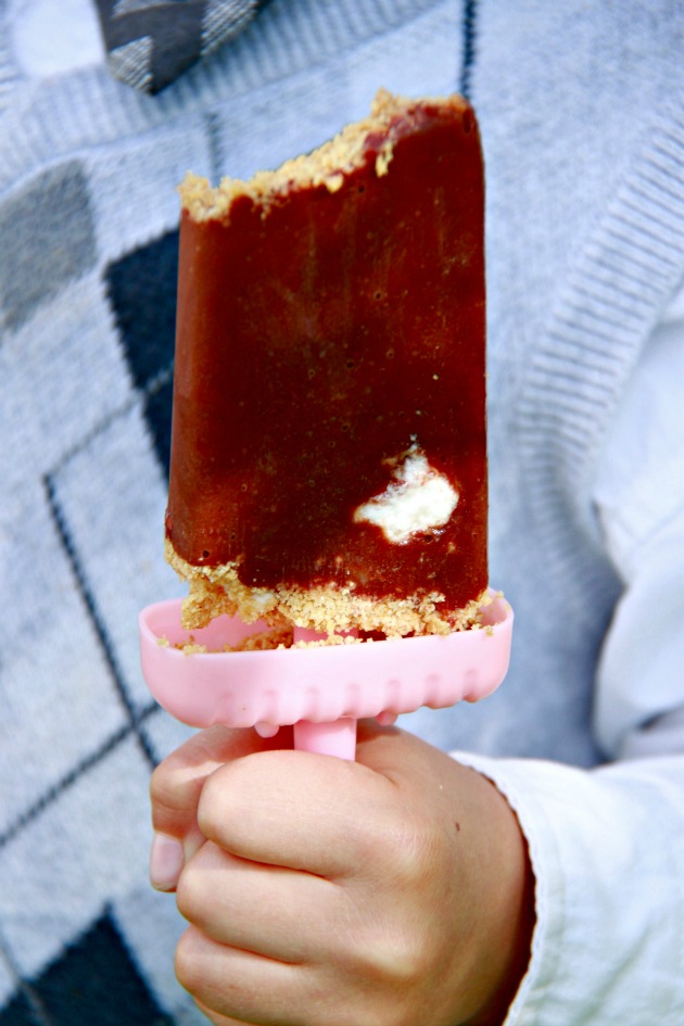 S'mores Popsicles 3