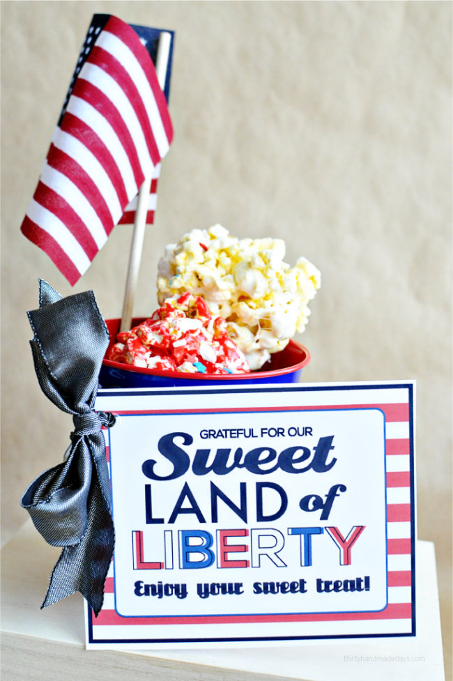 Sweet land of liberty printable card- perfect for a 4th of July treat! So cute from www.thirtyhandmadedays.com