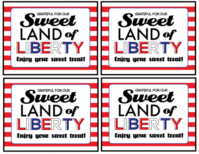 Sweet land of liberty printable card- perfect for a 4th of July treat! So cute.   www.thirtyhandmadedays.com