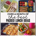 Over a month's worth of packed lunch ideas - perfect for work! Because lunches aren't just for kids. | Thirty Handmade Days