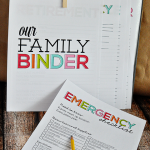 Get prepared in case of an emergency - Printable Emergency Checklist from www.thirtyhandmadedays.com