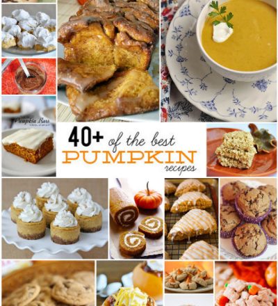 Old Fashioned Pumpkin Cookeiss Old Fashioned Pumpkin Cookeiss