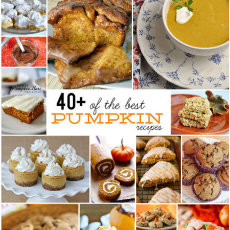 40+ of the Best Pumpkin Recipes - a little something for everyone.