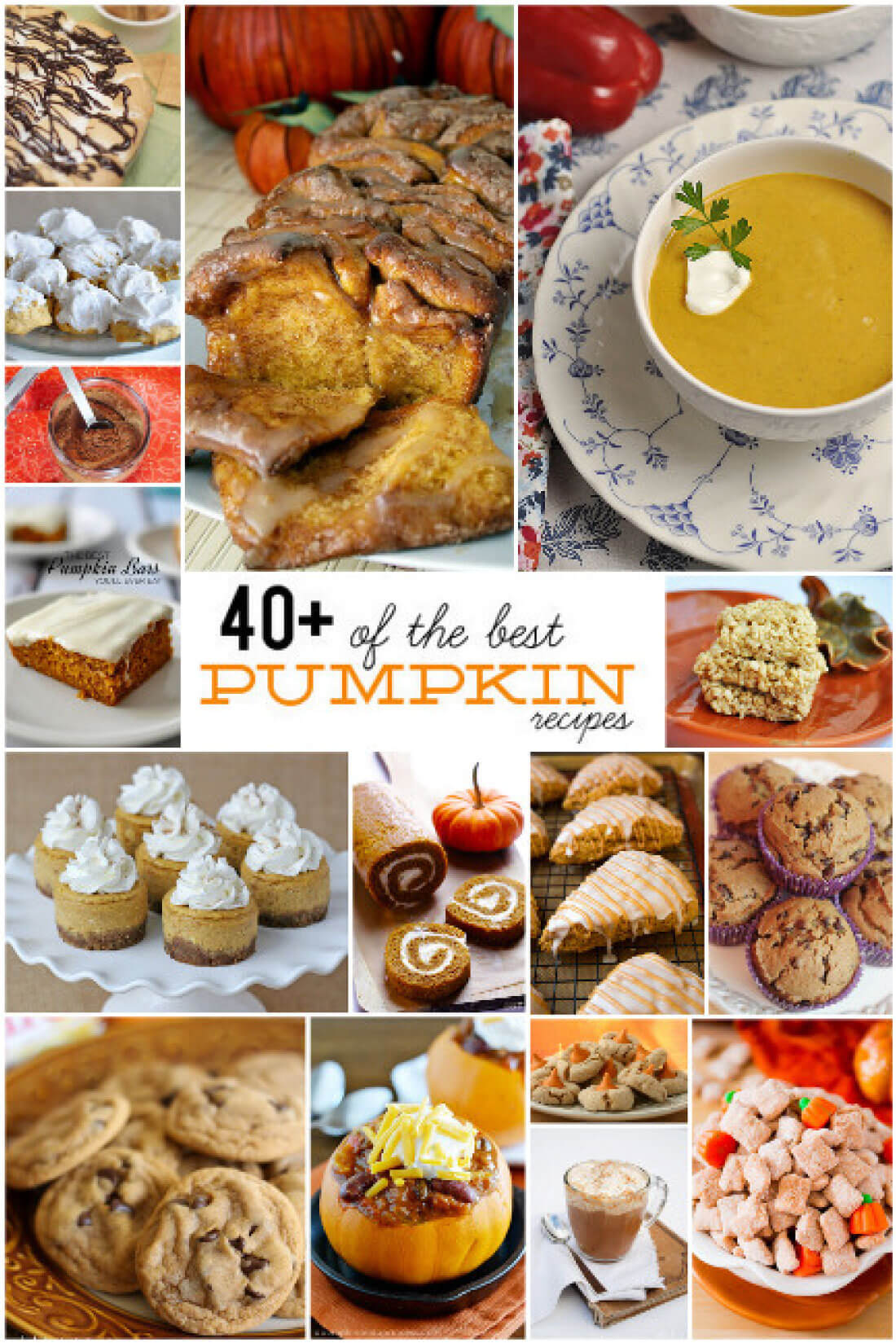 40+ of the Best Pumpkin Recipes - a little something for everyone.