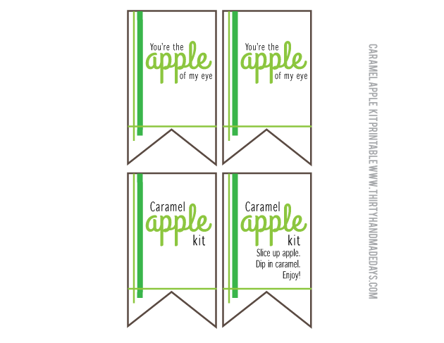 Printable caramel apple kit flags from www.thirtyhandmadedays.com