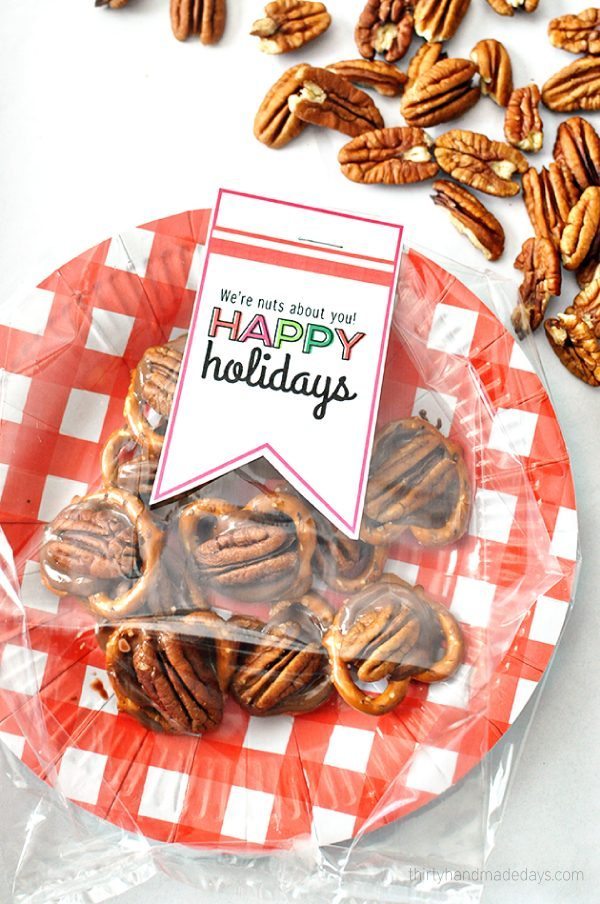 Nuts About You Holiday Gift Idea with printable included www.thirtyhandmadedays.com