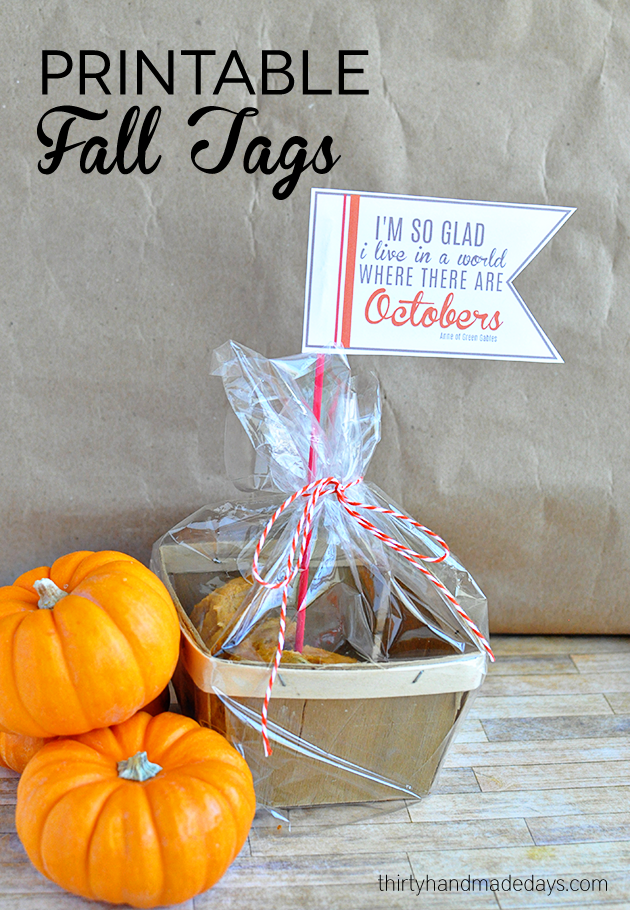 Simple and cute printable fall tags from www.thrirtyhandmadedays.com