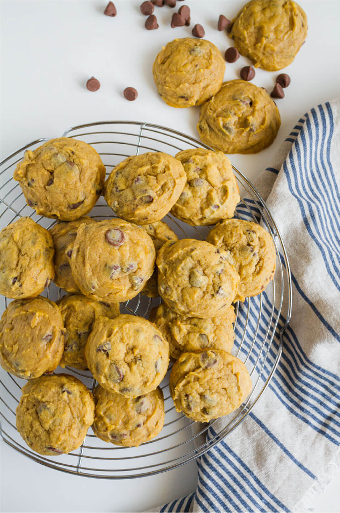 Old Fashioned Pumpkin Chocolate Chip Cookies scream fall and taste amazing. Whole batch of cookies.