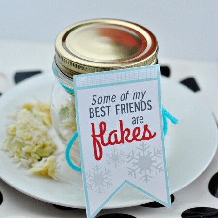 Cute holiday printable "Some of my best friends are flakes!" Make with snowflake apples from www.thirtyhandmadedays.com