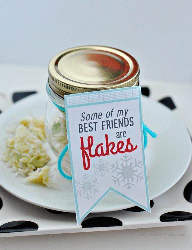 Cute holiday printable "Some of my best friends are flakes!" Make with snowflake apples from www.thirtyhandmadedays.com