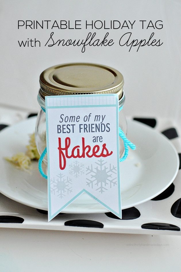 Cute holiday tags printable "Some of my best friends are flakes!" Make with snowflake apples from www.thirtyhandmadedays.com