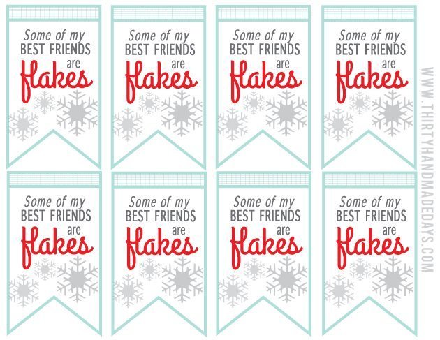 Cute holiday tags printable "Some of my best friends are flakes!" Make with snowflake apples from thirtyhandmadedays.com