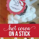 Hot Cocoa on a Stick - make this fun Christmas treat using a few simple ingredients. via www.thirtyhandmadedays.com